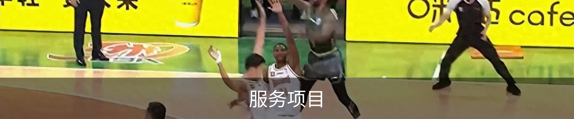 服务项目